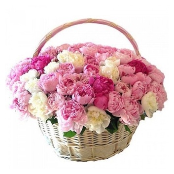 корзина с розовыми пионами 71 шт