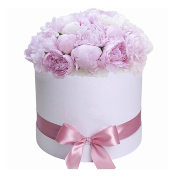 Белая коробка с пионами 25 шт