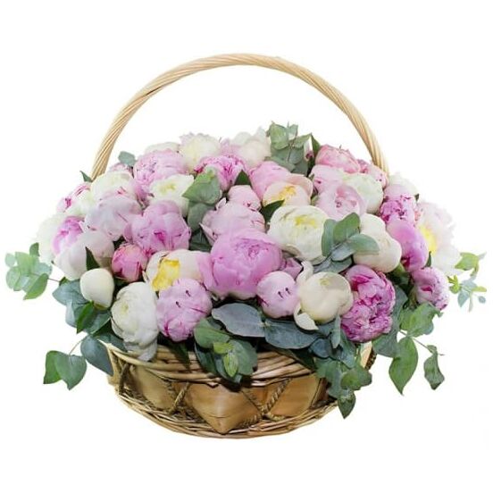 купить пионы в корзине 65 шт