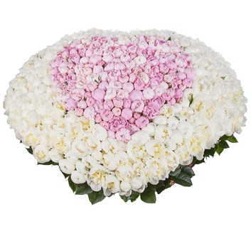 корзина с розовыми и белыми пионами 501 шт