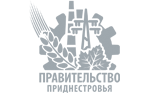 Правительство Приднестровья логотип