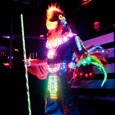 Светодиодный костюм Петуха с светящимся шестом
