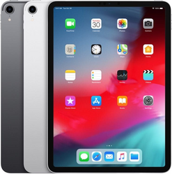 Скупка iPad Pro 11 дюймов (1-ого поколения), 2018 год