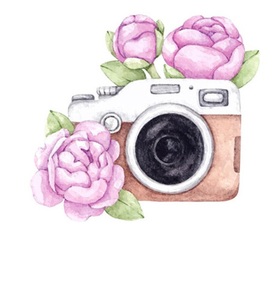 Фотокамера и махровые тюльпаны