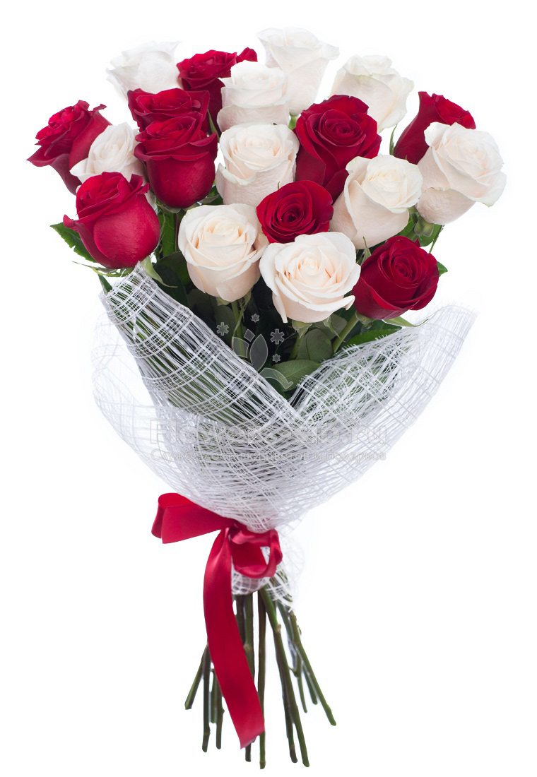 букет голландские розы с доставкой Усть-Каменогорск