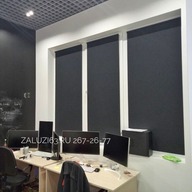 Рулонные шторы MINI в офис омега черный