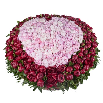 корзина с пионами 501 шт