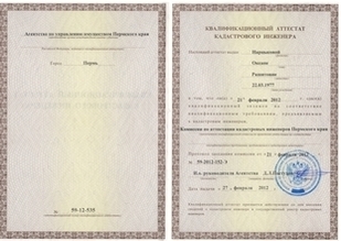 Сертификат кадастрового инженера 1