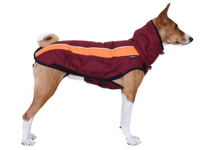 goretex dog jacket