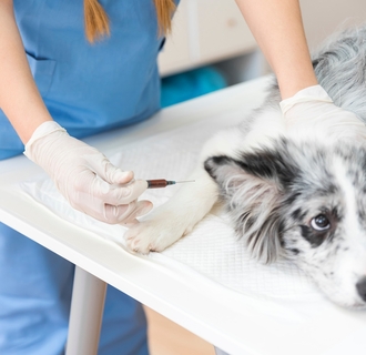 Что относится к современным методам лечения уремии: тесты и анализы