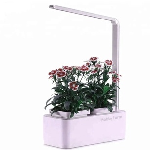 Умный сад для растений — инновационный подарок на новоселье в квартиру