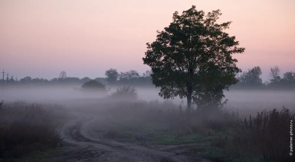 Натюрморт А. Паламарь. Тирасполь