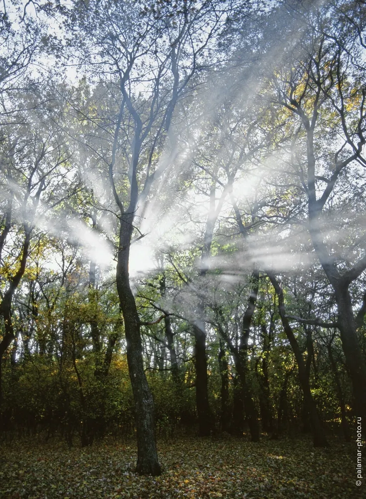 фото А. Паламарь 