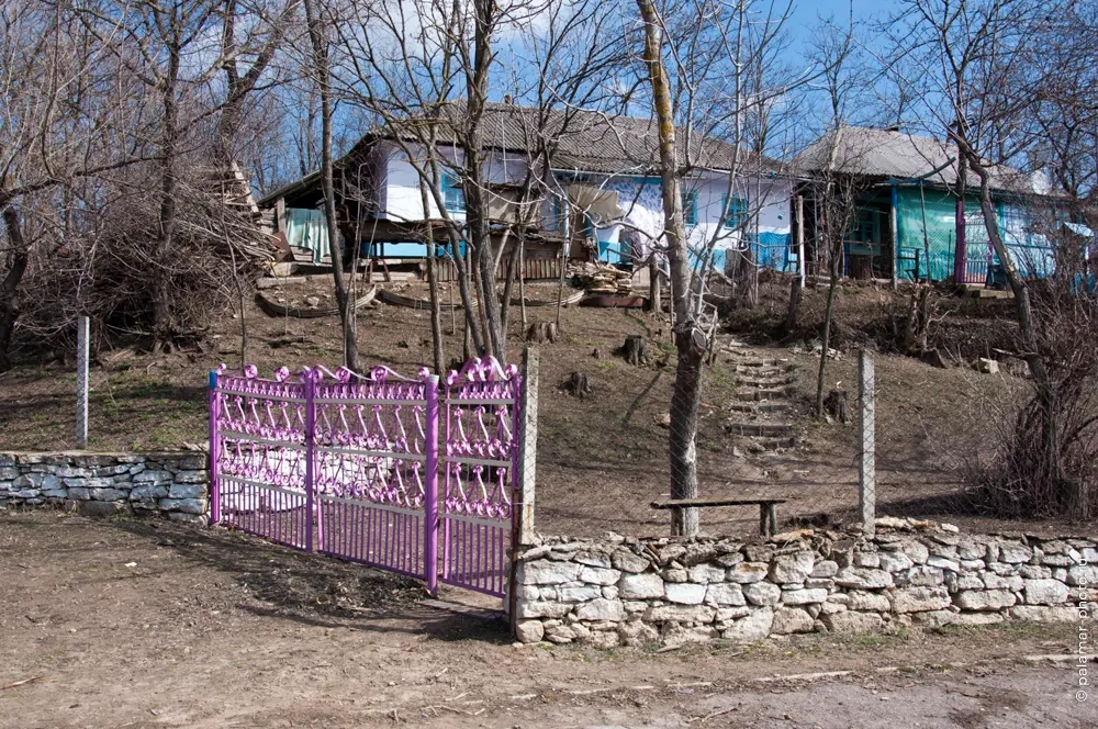 фото А. Паламарь 