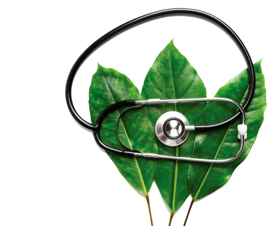 Семейный юрист