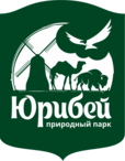 Парк Юрибей Тюмень