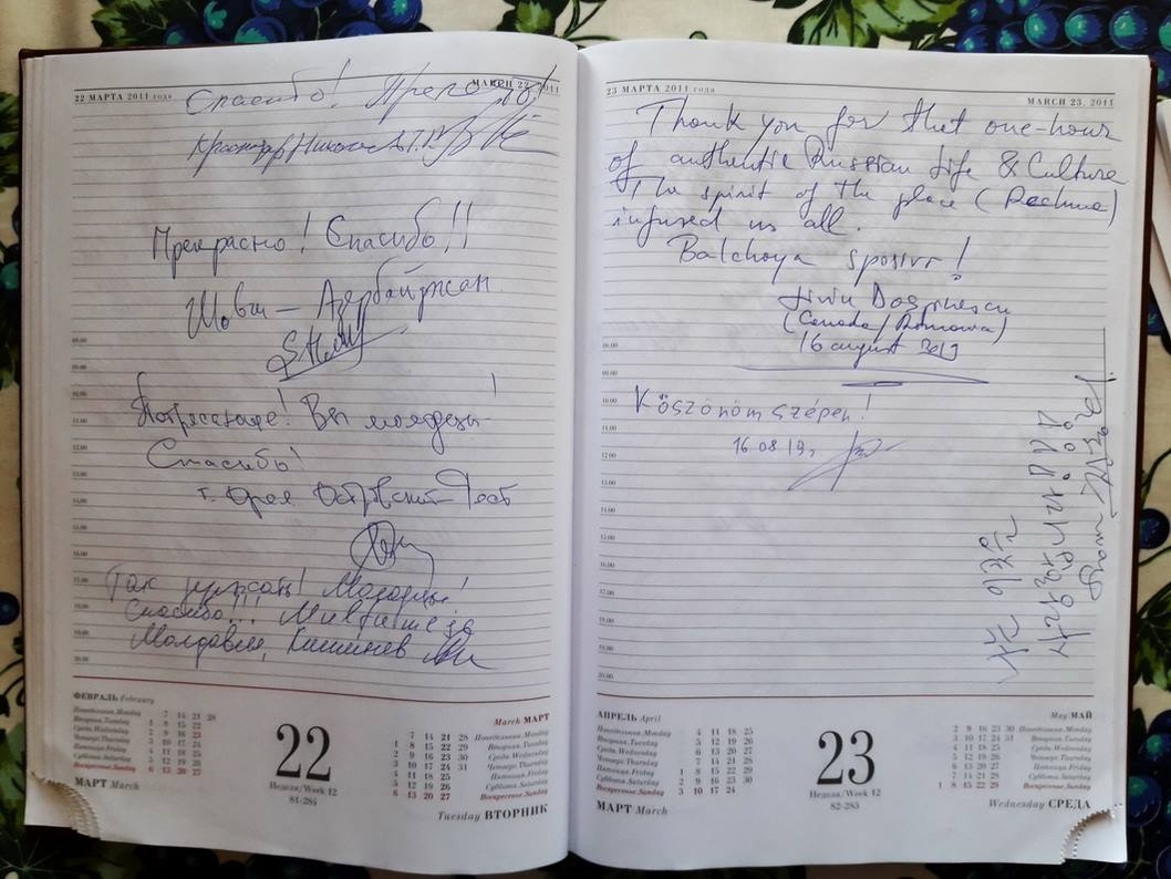 отдых на волге отзывы