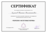 остеопатическое лечение черепно-мозговых нервов в Москве Никита Лизиков