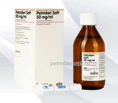 Купить препарат Петнидан (капсулы и сироп) 