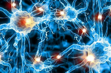 Лечится ли эпилепсия у детей и взрослых - принципы и препараты