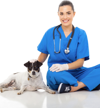 Мнение ветеринарных врачей об использовании французского Pronefra: эффективно ли его действие 