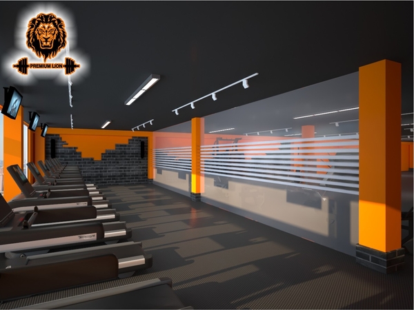Фитнес-центр \"Premium Lion\", г. Лобня ул. Катюшки 55