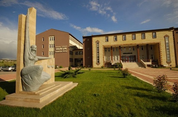 эрджиес университет
