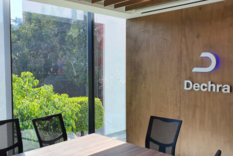 Интересные факты о Веториле и его истории разработки для лечения синдрома Кушинга у собак