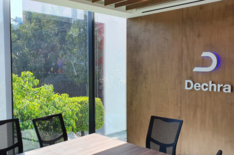 Интересные факты о Веториле и его истории разработки для лечения синдрома Кушинга у собак