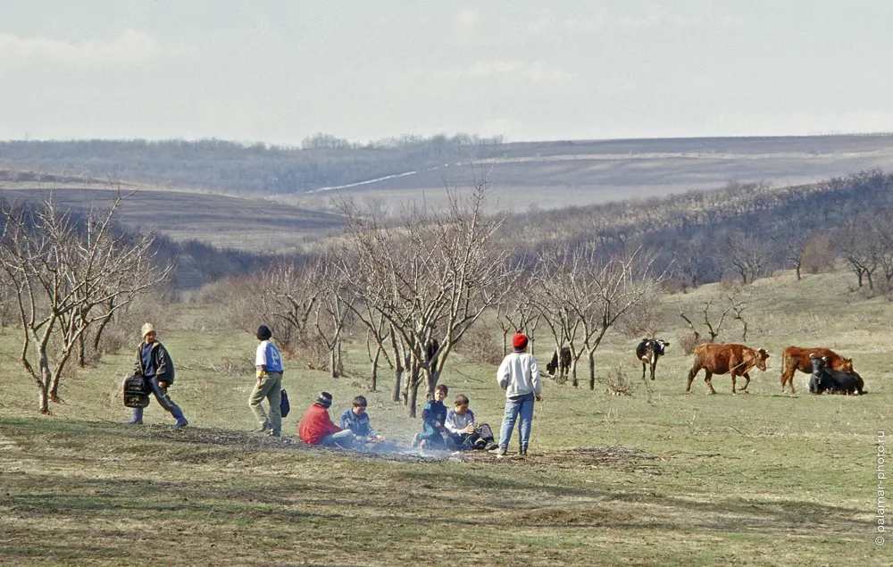 Натюрморт А. Паламарь. Тирасполь