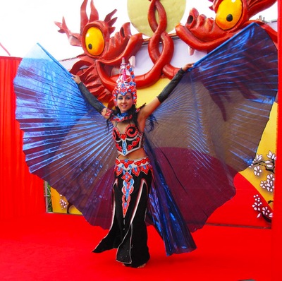 Светодиодный костюм Бабочки с крыльями