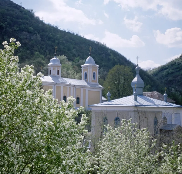 фото А. Паламарь 