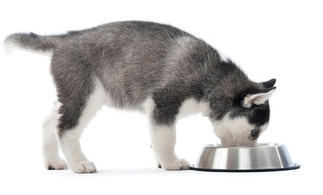 Покупка Ипакитине из франции на сайте IPAKITINE FRANCE с отзывами покупателей