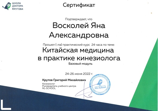 Китайская медицина в практике кинезиолога. Базовый модуль