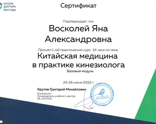Китайская медицина в практике кинезиолога. Базовый модуль