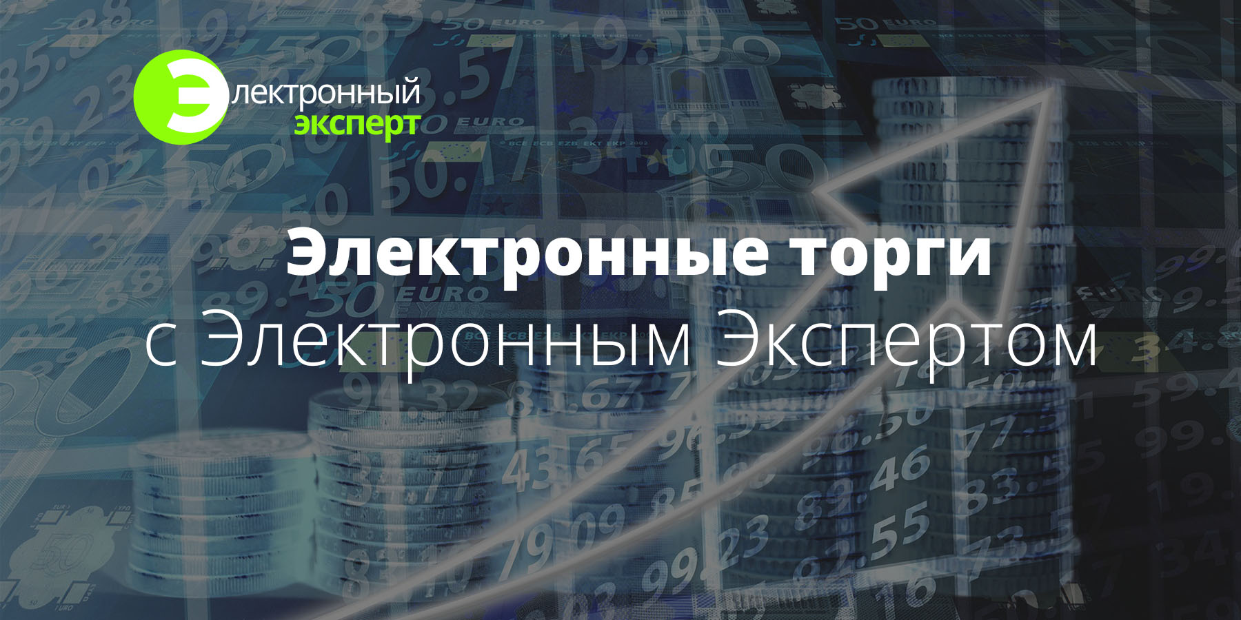 Участие в электронных торгах с 100% гарантией