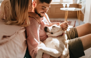 Ответы на частые вопросы по препарату Ипакитине