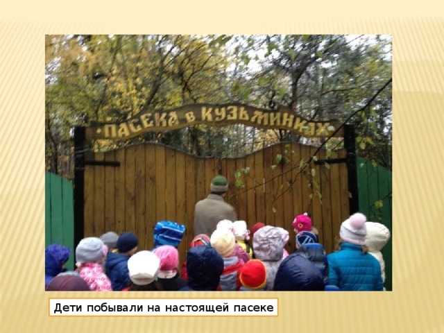 нет картинки