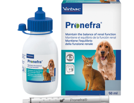 сравнение аналогов, какие можно купить в Москве легко и какая цена