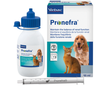 Интернет-магазин по продаже Пронефра для собак с ХПН: инструкция, отзывы и цены на препарат