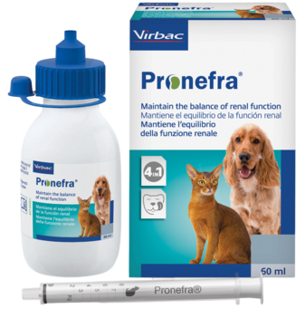 Совместимость препарата Пронефра с другими лекарствами, результаты лечения