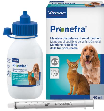 Совместимость препарата Пронефра с другими лекарствами, результаты лечения