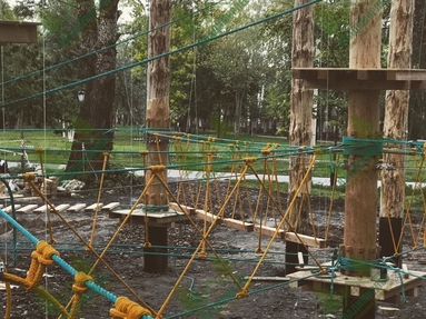 Веревочный парк из бревен сосны 