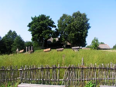 нет картинки