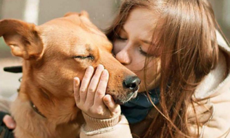 Ипакитине для собак с диагнозом ХПН: что важно знать хозяину