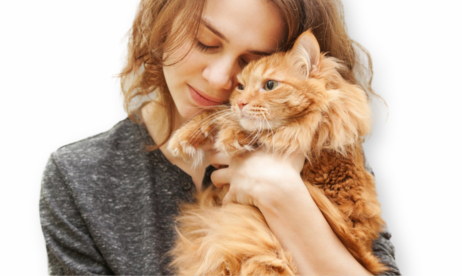 Купить препарат Пронефра 180 мл со склада в Москве или СПб за 1 день