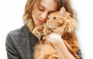 Купить препарат Пронефра 180 мл со склада в Москве или СПб за 1 день