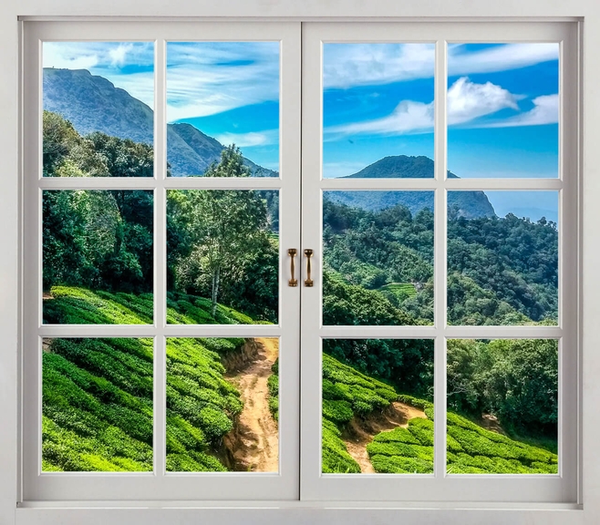 купить окна