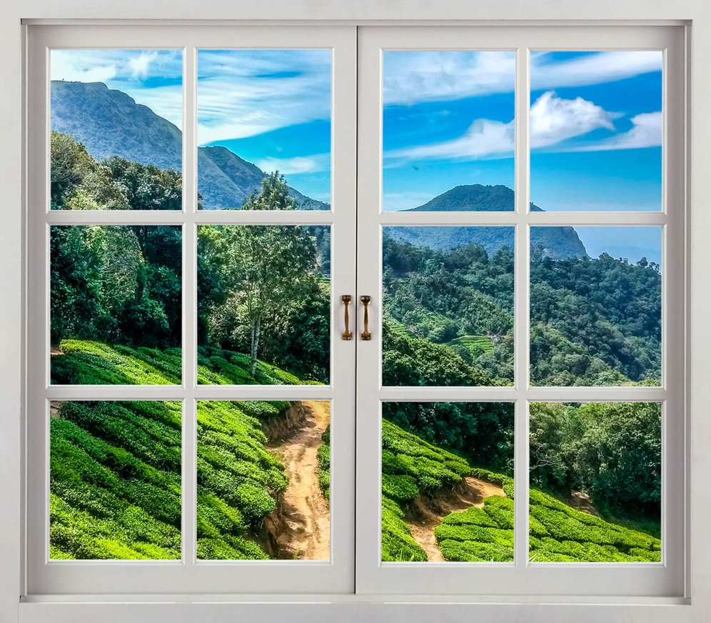 купить окна