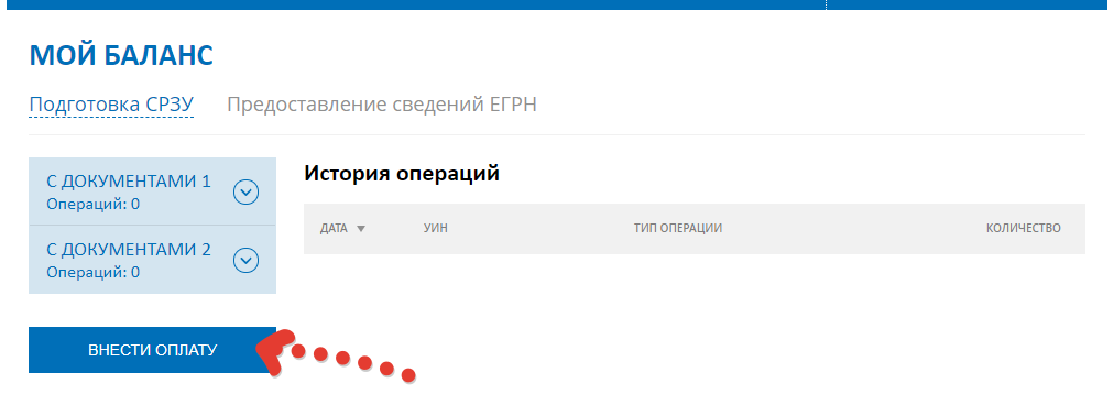 Дождитесь загрузки и нажмите на кнопку "ВНЕСТИ ОПЛАТУ"